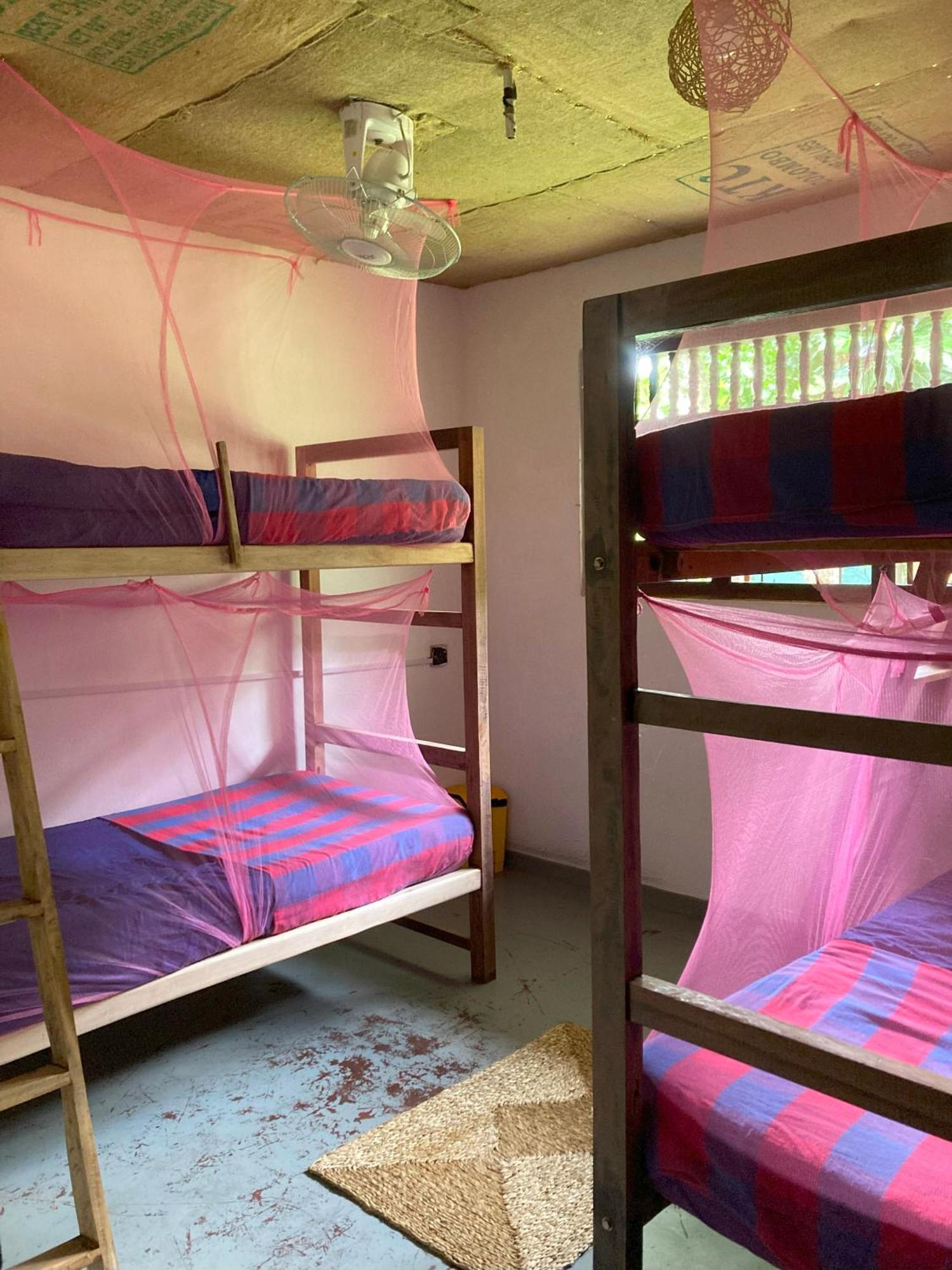 Hostel Singha Lounge Unawatuna Zewnętrze zdjęcie